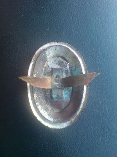 4538.jpg