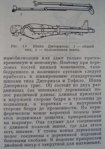 shina1.JPG
