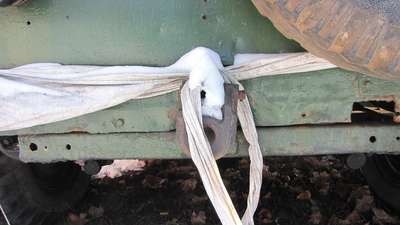 IMG_1132.jpg
