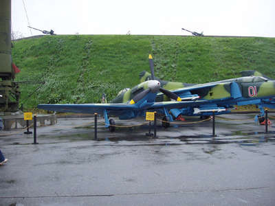 P5100159.jpg