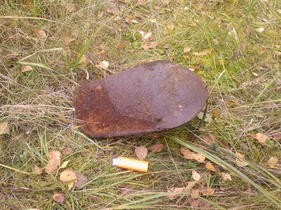 Photo-0115.jpg