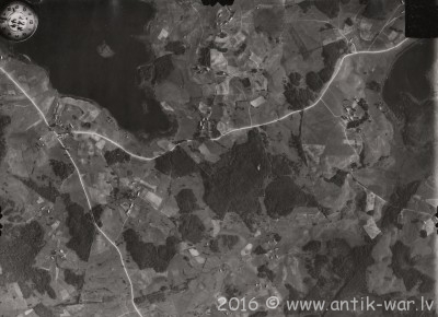 pulgosnis1.jpg
