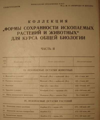 P1310089.JPG