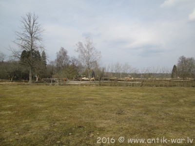 IMG_2510.JPG