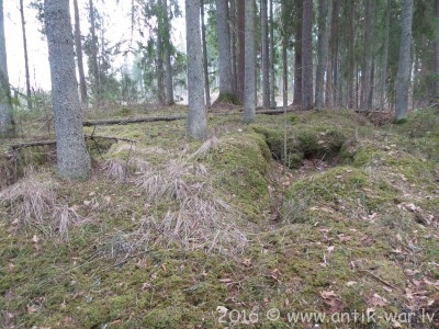20160325_140940.jpg