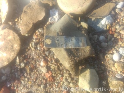 20160328_115425.jpg