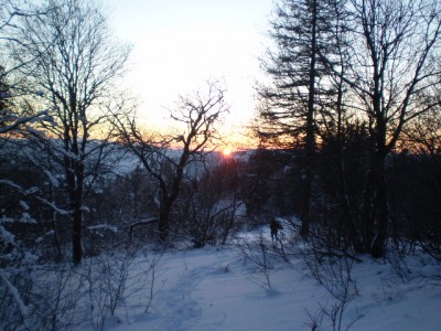 t_4833_1262118842.jpg