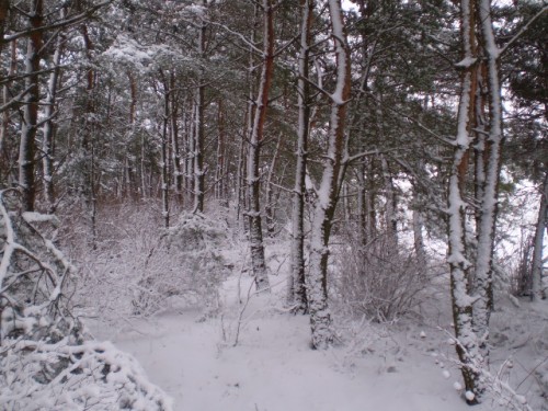 P1120003.JPG