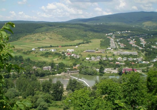 P7020020.jpg