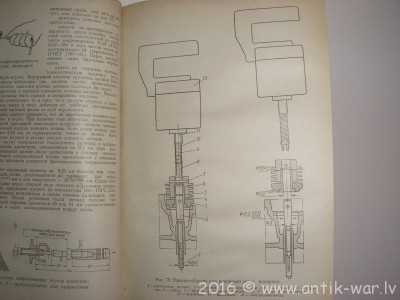 CIMG8737.JPG