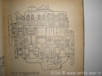 CIMG8531.JPG