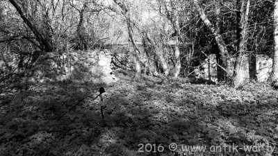 20160505_164738.jpg