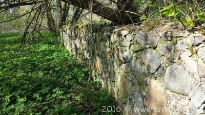 20160505_165031.jpg