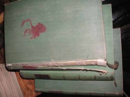 PICT0061.JPG