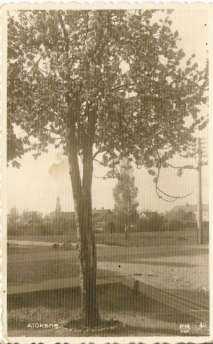 scan0099.jpg