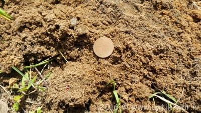 20160621_140033.jpg