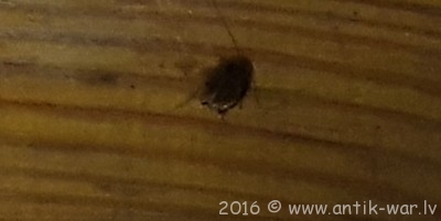 20160627_112815.jpg