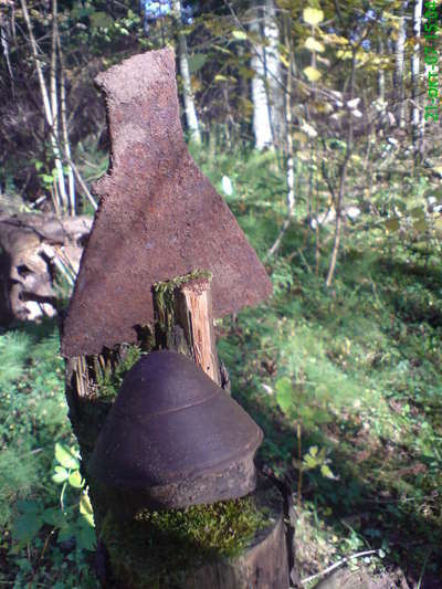 DSC00036.JPG
