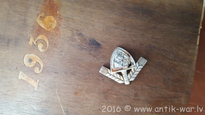 20160729_192239.jpg