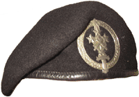 simb01.gif