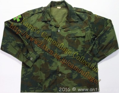 latvian_old_camo.jpg