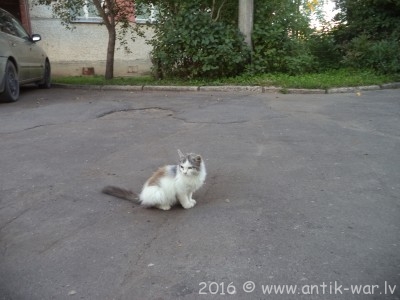 DSC02013.JPG