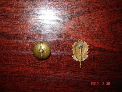 DSC03202.JPG