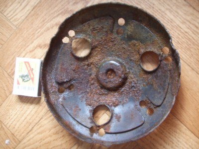 poljumina (1).JPG