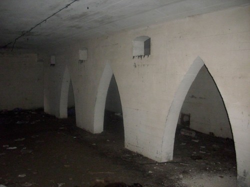 DSCI0161.JPG