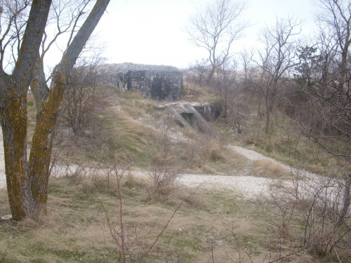 DSCI0169.JPG