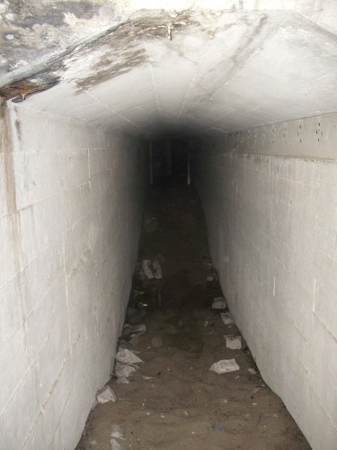 DSCI0176.JPG