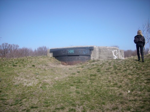 DSCI0206.JPG