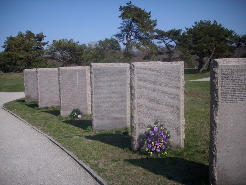 DSCI0222.JPG
