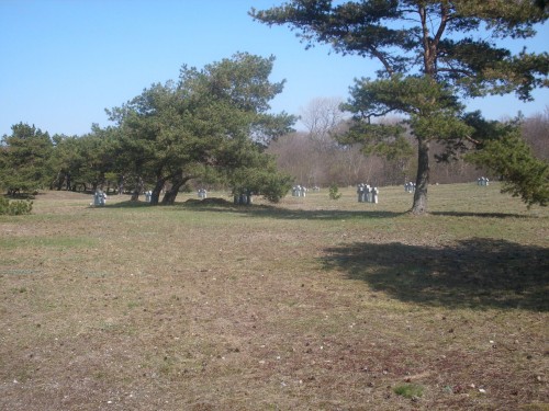 DSCI0225.JPG