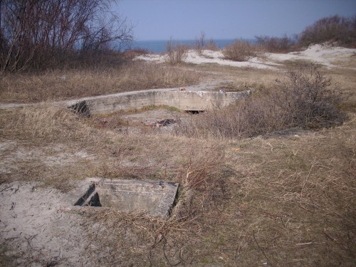 DSCI0344.JPG
