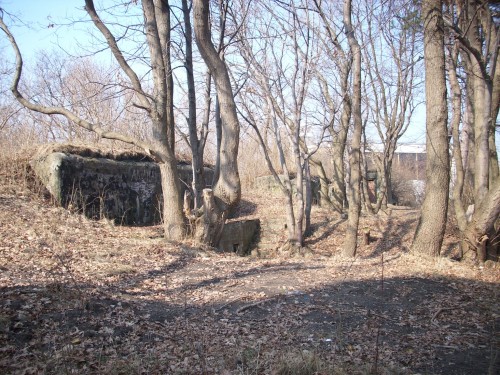 DSCI0359.JPG