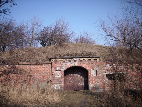 DSCI0361.JPG