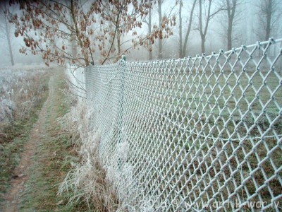 PC044763.JPG