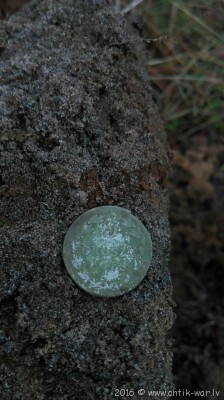 IMAG0784.jpg