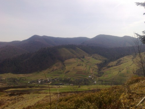 010520101308.jpg