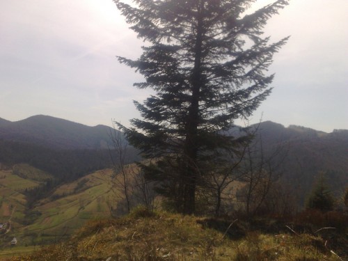 010520101310.jpg