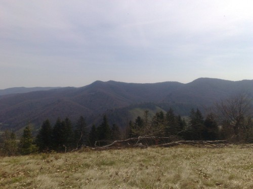 010520101311.jpg