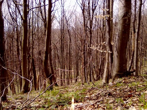 01052010033.jpg