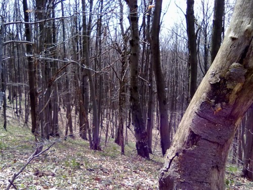 01052010034.jpg
