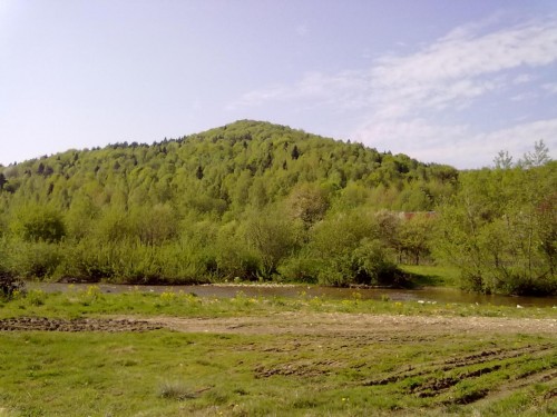 04052010035.jpg