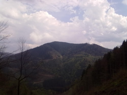 04052010037.jpg