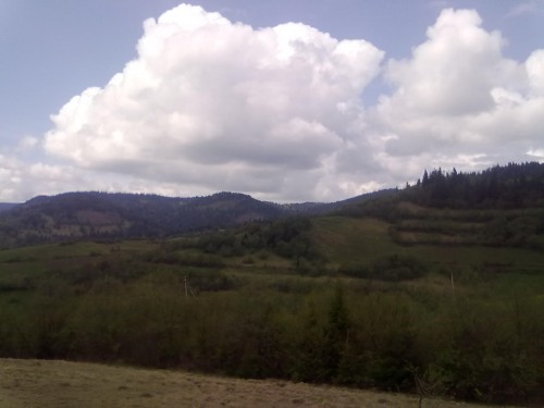 08052010055.jpg