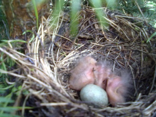 10052010058.jpg