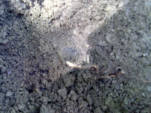 10052010062.jpg