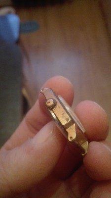 IMG-20170128-WA0008.jpeg